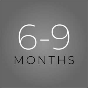 6-9 Months