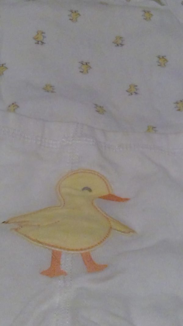 Back of Duck Pants